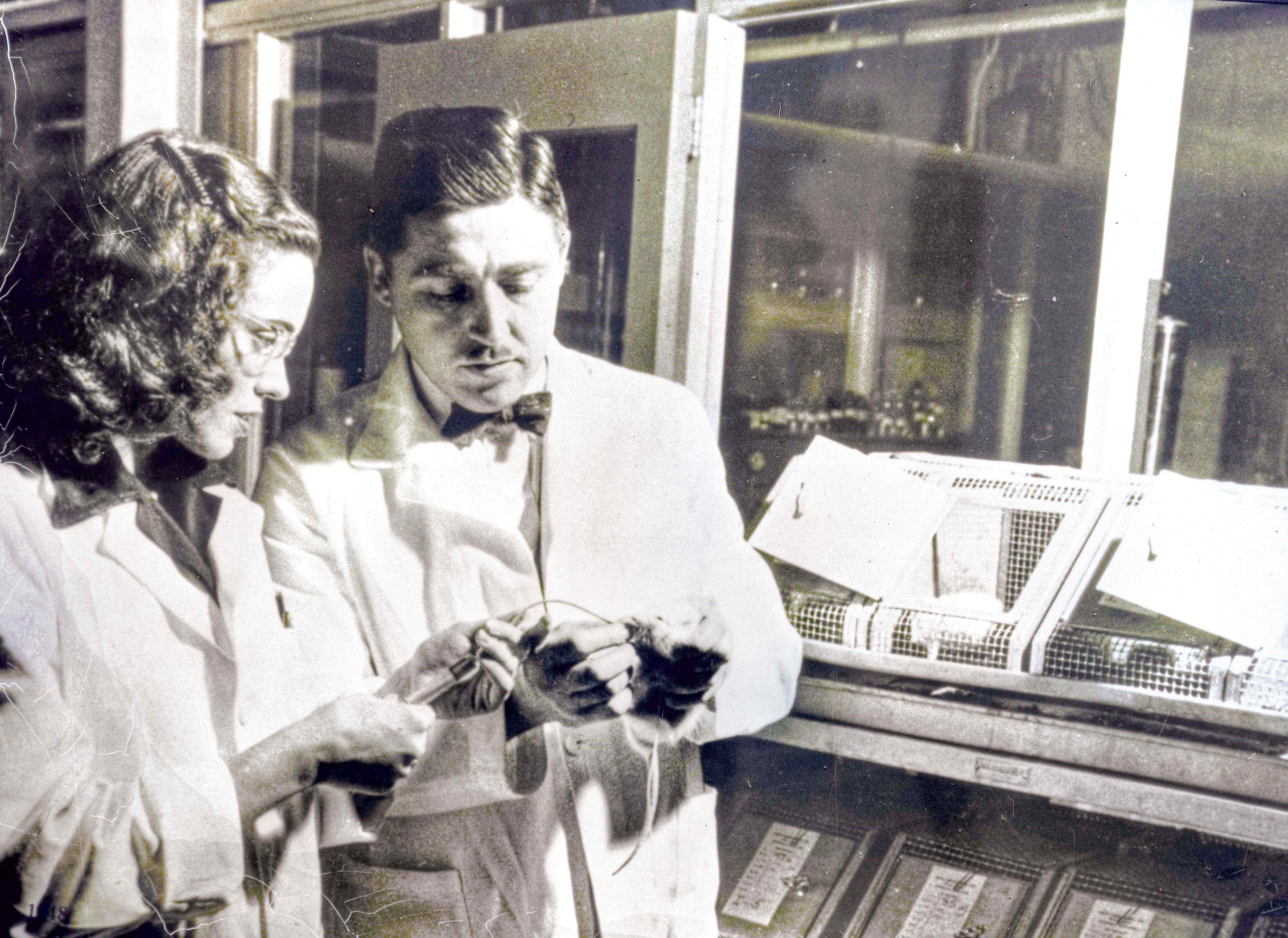 Helen and Alfred Free in their laboratory