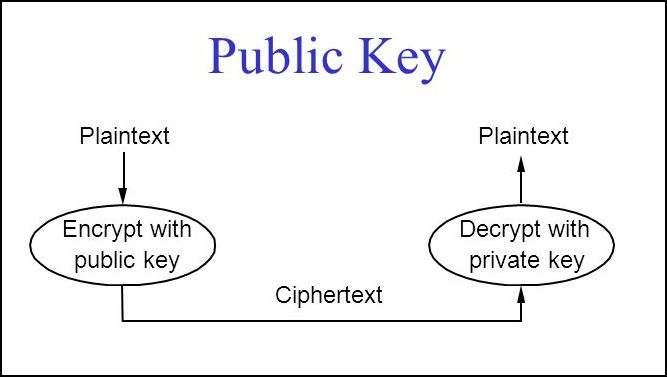 The RSA encryption algorithm uses a public key to encrypt messages and a private key to decrypt.