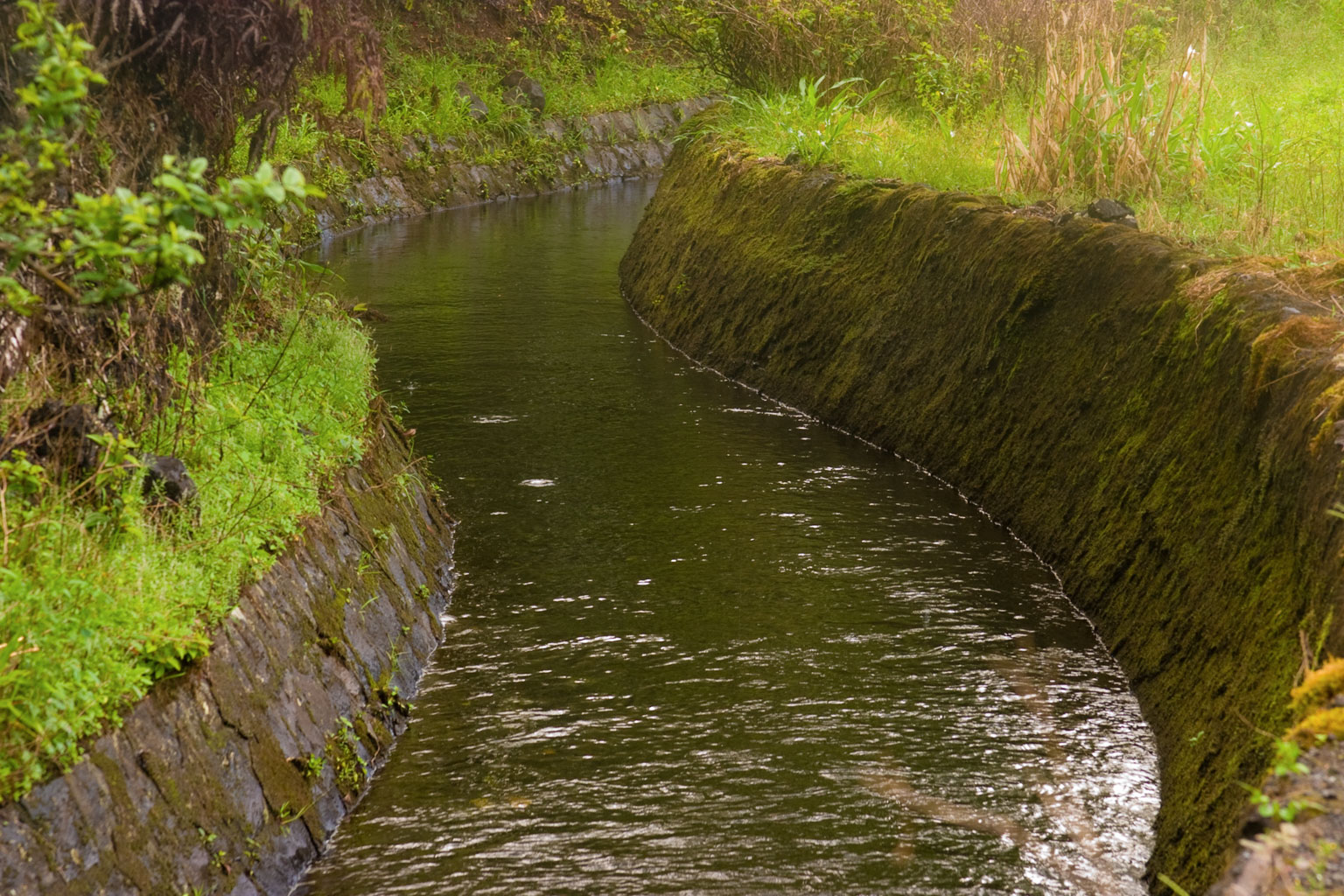 East Maui Irrigation System