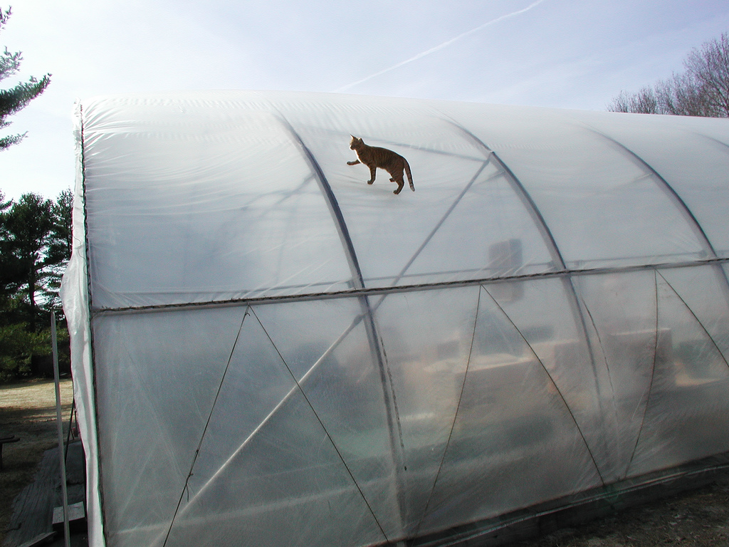 Air-Inflated, Double-Layer Polyethylene Greenhouse