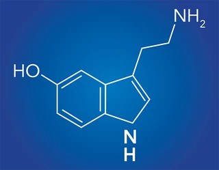 5-hydroxytryptamine, or 5-HT. More commonly known as serotonin.