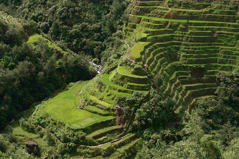 Ifugao Rice Terraces | Invention & Technology Magazine