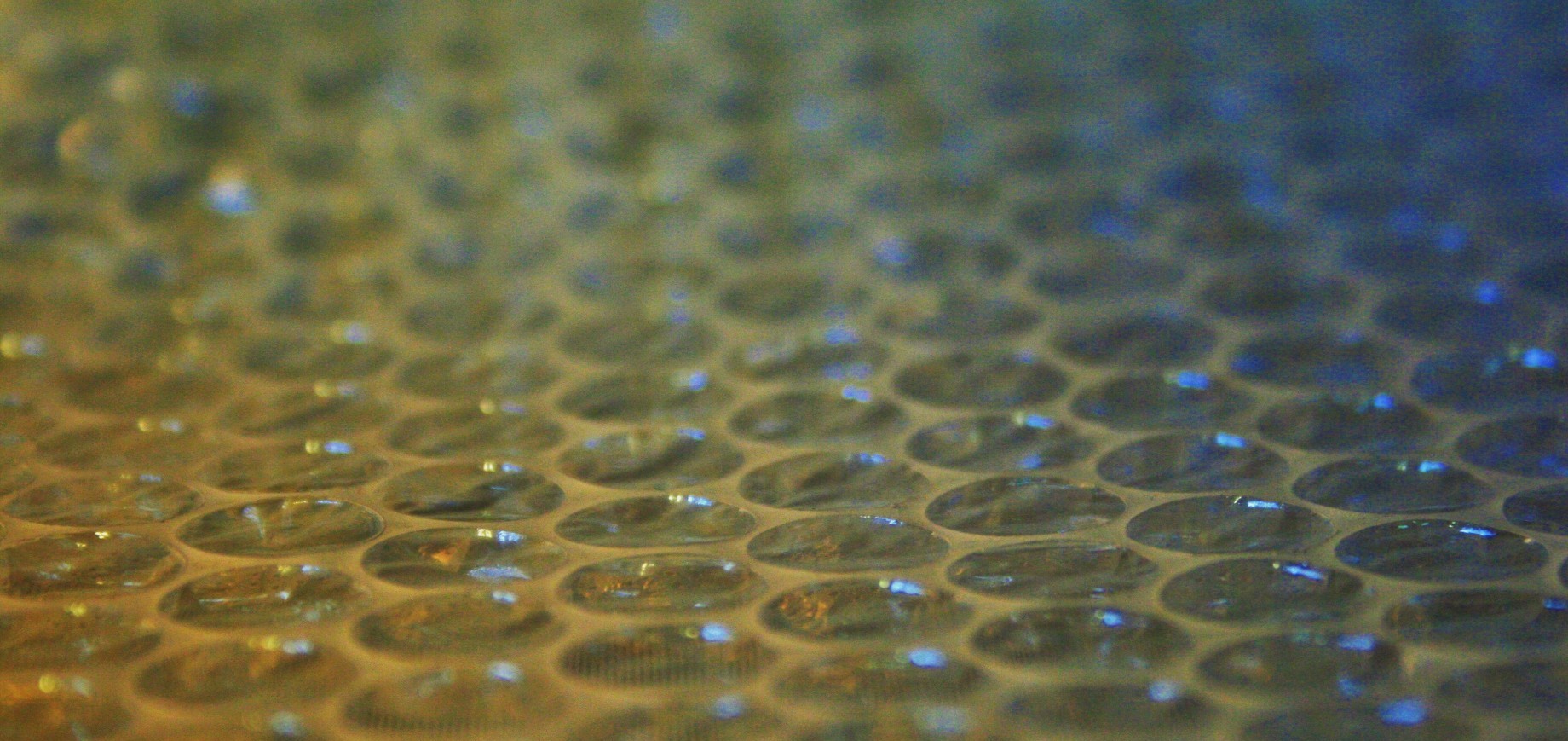 bubble wrap