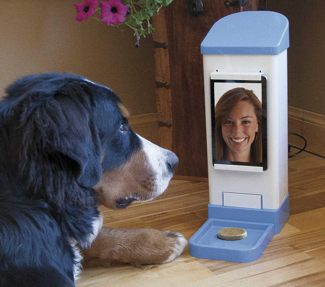 Dog interacting with iCPooch invention
