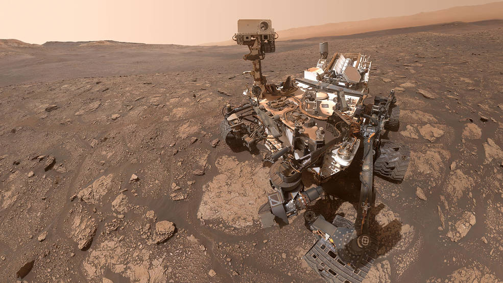 curiosity selfie