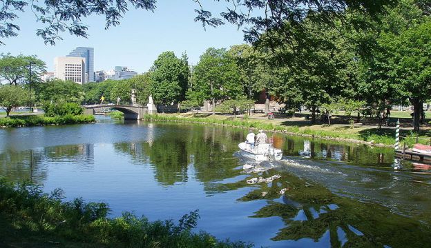 Charles River Basin Project