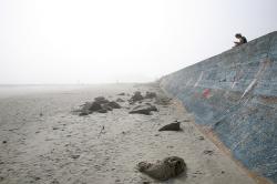 Galveston Seawall and Grade Raising