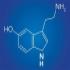 5-hydroxytryptamine, or 5-HT. More commonly known as serotonin.
