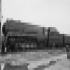 Norfolk & Western #611, Class J Steam Locomotive