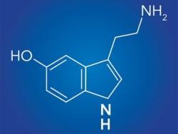 5-hydroxytryptamine, or 5-HT. More commonly known as serotonin.