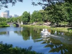 Charles River Basin Project